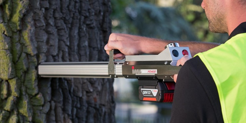 Tree inspection
